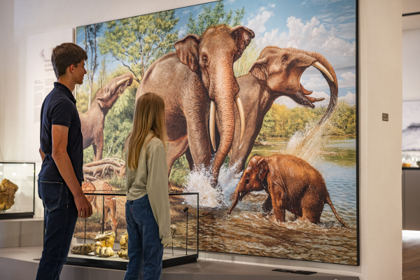 Urelefanten in der Archäologie, Foto: Norbert Liesz