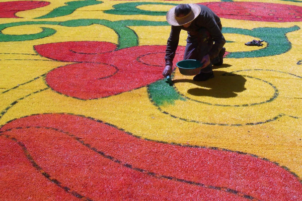 Thomas Weil, Bloom In 2008, Museum Im Wittelsbacher Schloss Friedberg Thomas Weil, Bloom In 2008, Museum Im Wittelsbacher Schloss Friedberg