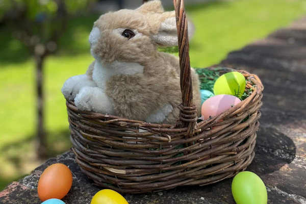 Osterhase im Körbchen im Museum im Wittelsbacher Schloss Friedberg, Foto: Museum im Wittelsbacher Schloss Friedberg